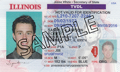 Example of a Drive Only License with TVDL indicator
